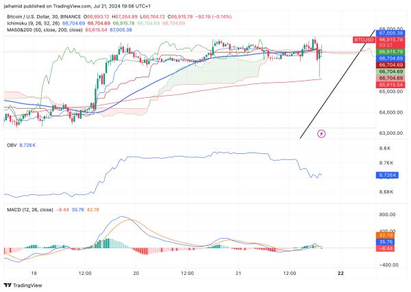 Bitcoin crosses $67,000 – Selling pressure disappears