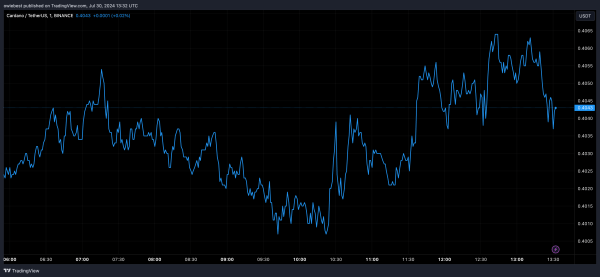 Institutional Investors Show Interest In Cardano, Triggering 300% Surge Institutional Investors Show Interest In Cardano, Triggering 300% Surge