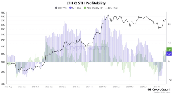 Is Bitcoin&rsquo;s Bull Run Here to Stay? Insights from the Latest CryptoQuant Report