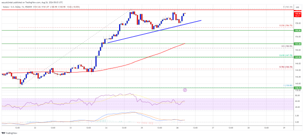 Solana Price (SOL) Could Spark Another Rally by Clearing $162