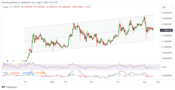 Kaspa price falls below $0.16 as bulls struggle Kaspa price falls below $0.16 as bulls struggle