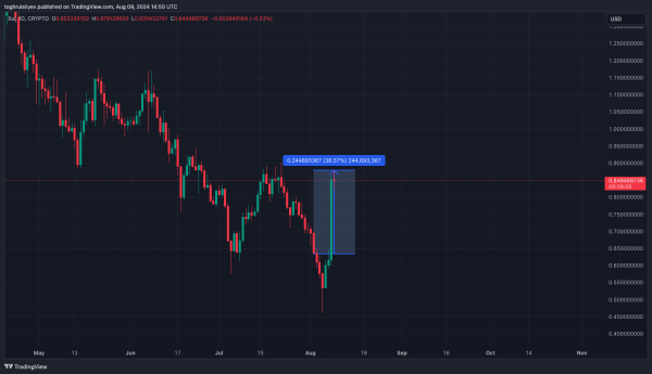 Chart of the week: Сloser look at SUI’s price action