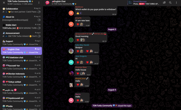 Telegram mini-app TON Turbo allegedly an exit scam