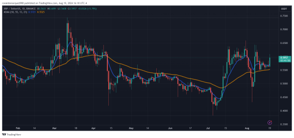 Monday’s Crypto Leaderboard: BNB And XRP Surge Past Market Leaders