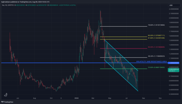 Chart of the week: Сloser look at SUI’s price action