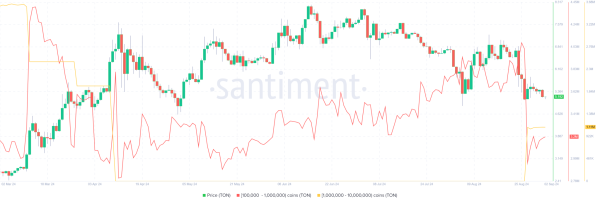 Toncoin (TON) Set for Bullish Breakout, Eyes on 15% Price Surge