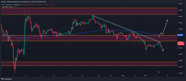 XRP Reserve Drop on Binance, Bullish Signal or Red Flag?