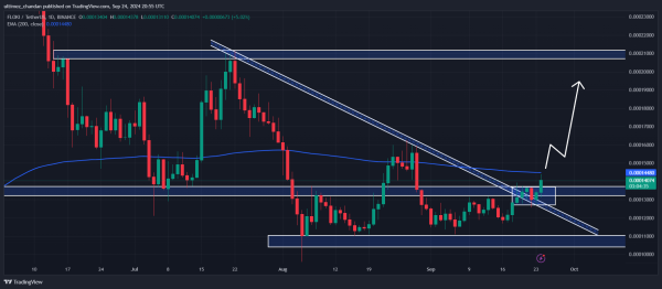 FLOKI Poised for 45% Rally, On-Chain Metrics Flash Buy Signal