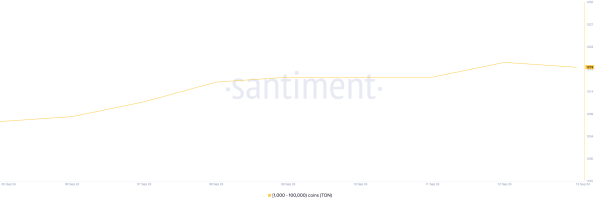 Crypto Whales Bought These Altcoins in the Second Week of September 2024 
