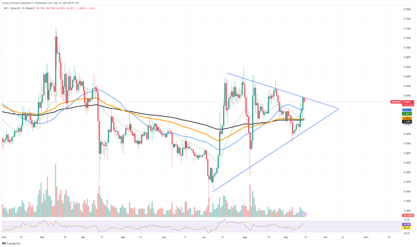 XRP $0.6 Price Retrace: Here's Exact Reason Why