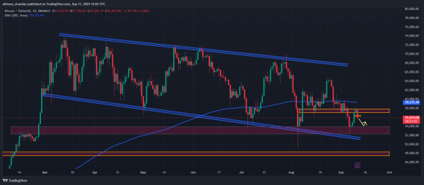 Will the Crypto Market Crash Again? Here’s What the Data Says