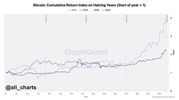 Number of Bitcoin millionaires soar by 25% in 2024 Number of Bitcoin millionaires soar by 25% in 2024