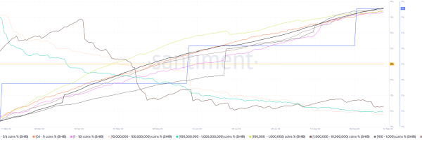 This Is Why SHIB Price May Not See $0.000025 in 2024