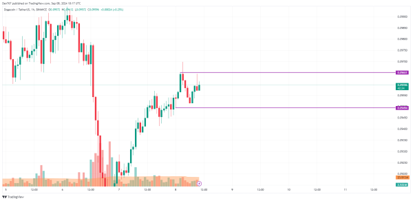 DOGE Prediction for September 8