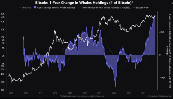 Whales Hit All-Time High Bitcoin Holdings At 670,000 – What Does This Mean For BTC?