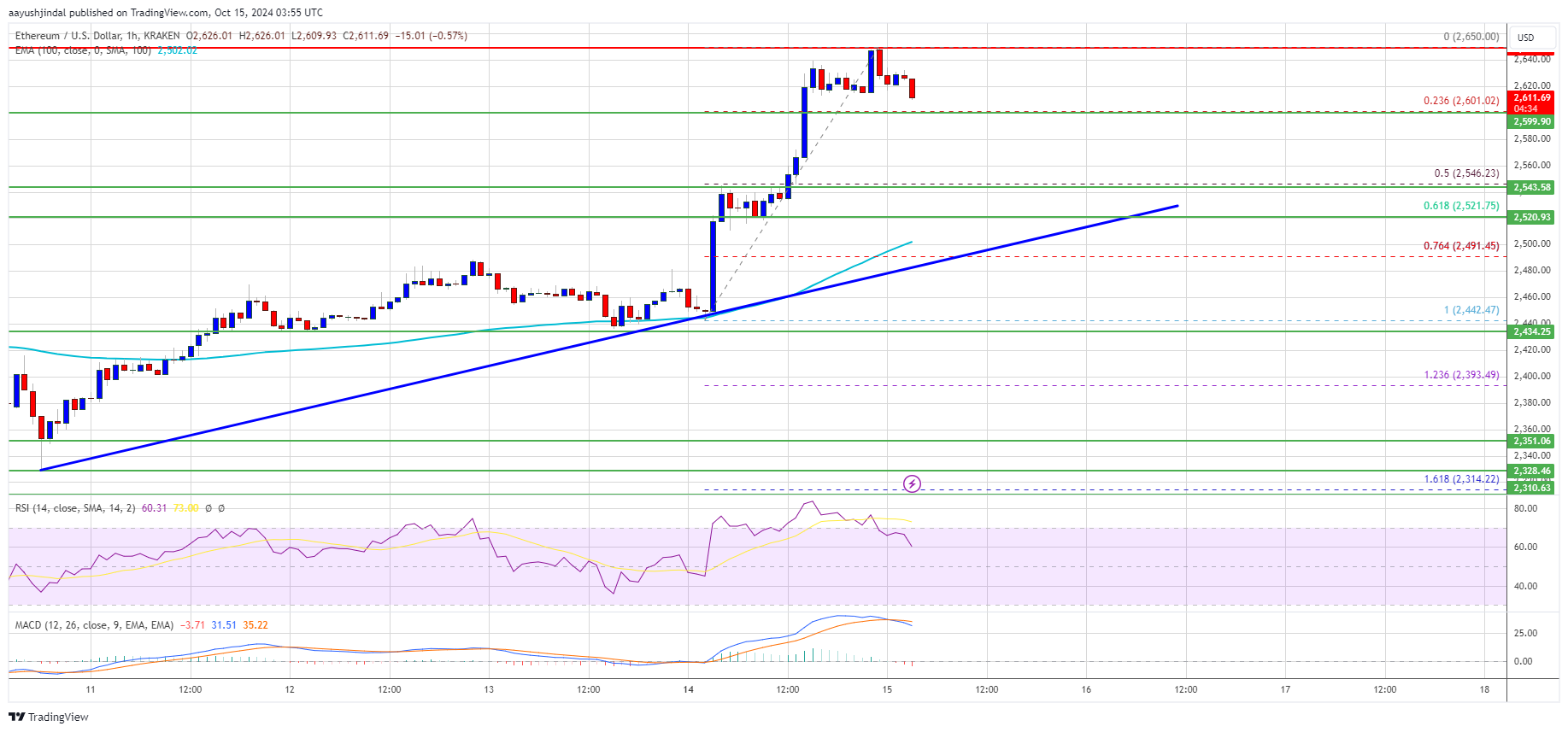 Ethereum Price Surges: Can the Rally Sustain?