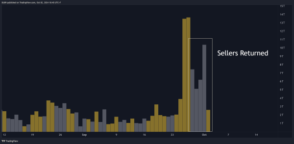 The Reason Behind Shiba Inu (SHIB) Price Plummet Today: Analysis