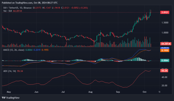 SUI leads top gainers as open interest hits all-time high SUI leads top gainers as open interest hits all-time high