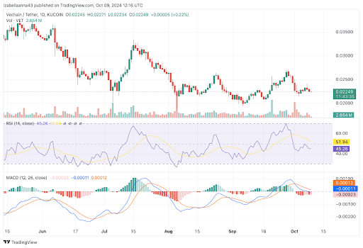 Coin and VeChain Price Analysis: A Second Bull Run in 2024? 