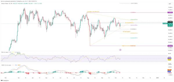 Whale Accumulation Sparks Fear in Bitcoin's Options Market