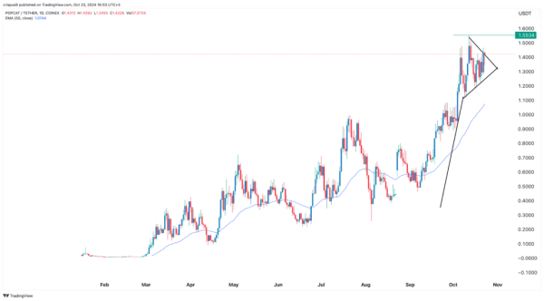 Bonk and Popcat prices diverge as their CEX outflows rise