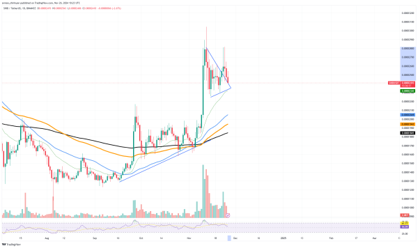 Shiba Inu's (SHIB) Skyrocketing Invalidated: Here's How