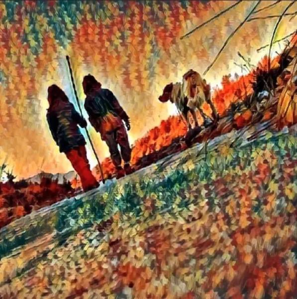 Top Free NFT Giveaways and Airdrops for November 2024