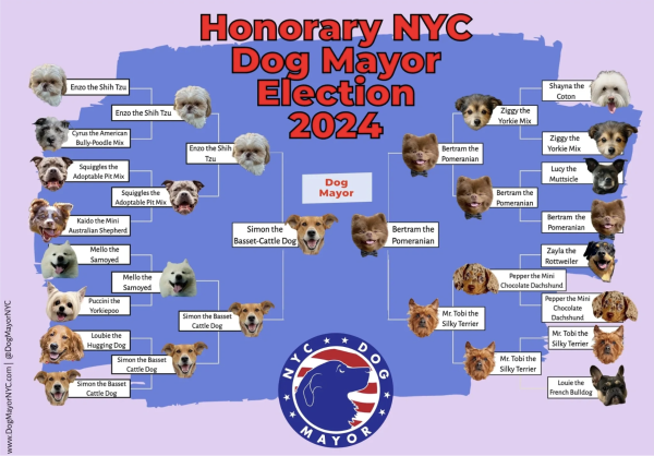 Crypto election interference reaches dog mayor of New York