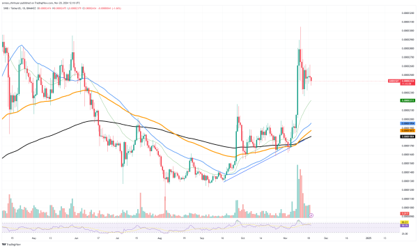 Almost 15 Billion Shiba Inu (SHIB) in 24 Hours: Are Whales Ready?