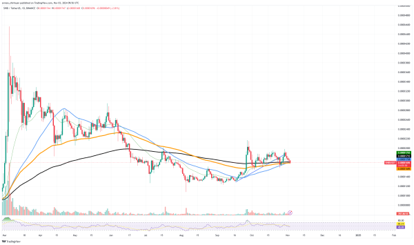 Only 628 Billion Shiba Inu (SHIB) in 24 Hours: Did Whales Give Up?