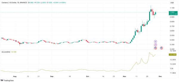 Cardano Whales Seize the Opportunity, Acquiring Over 130 Million ADA During Recent Dip