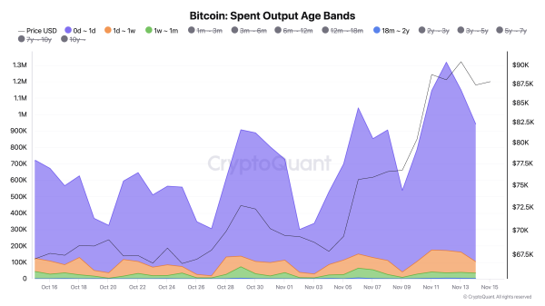 Bitcoin Struggles to Reclaim $90,000 as Short-Term Holders Keep Gains in Check Bitcoin Struggles to Reclaim $90,000 as Short-Term Holders Keep Gains in Check