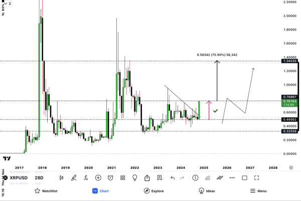 Critic Says The Snail XRP Is Ready to Become a Runner