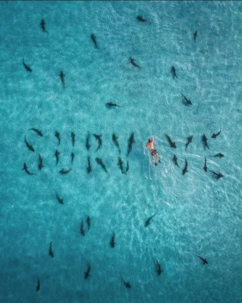 Top Cheap NFTs for November 2024