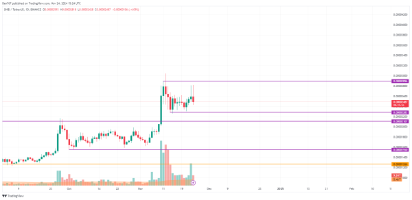 SHIB Price Prediction for November 24