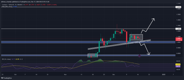 Cardano (ADA) Price Prediction for December 17
