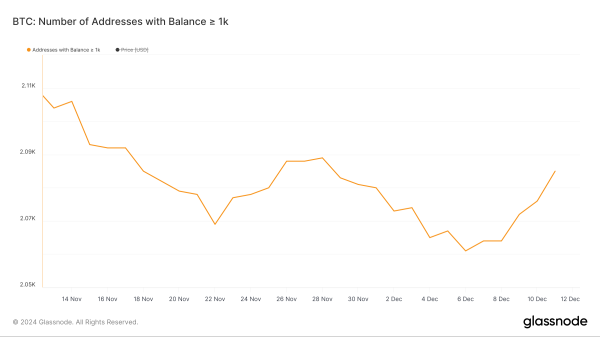 Whales Accumulate Bitcoin (BTC), but $110,000 Might Have to Wait Whales Accumulate Bitcoin (BTC), but $110,000 Might Have to Wait