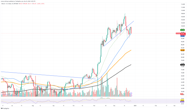 Bitcoin (BTC) 'Santa Rally' Might Be Dangerous, XRP Critical But Stable, Dogecoin (DOGE) Volume Hints at Bearish Drop