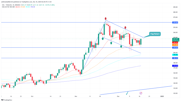Solana Price Rally to $300 Faces Headwinds Amid Whale's Multi-Million Cashout
