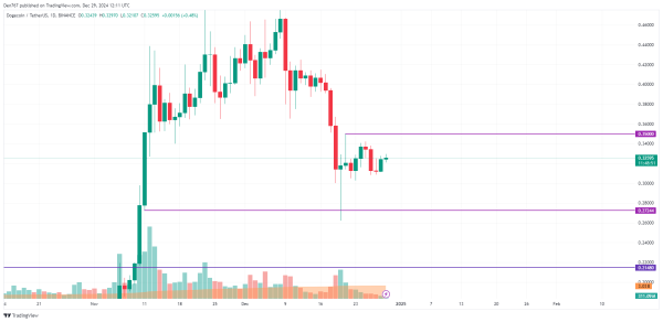 DOGE Price Prediction for December 29