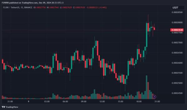 This Altcoin Announces Its Own Debit Card: Sudden Rise in Price