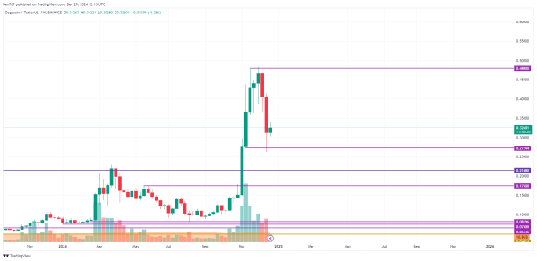 DOGE Price Prediction for December 29
