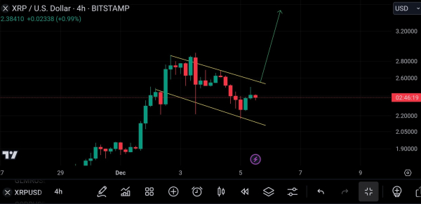 Software Engineer Predicts Timeline for XRP to Hit $5, Says XRP Fundamentals Remain Strong