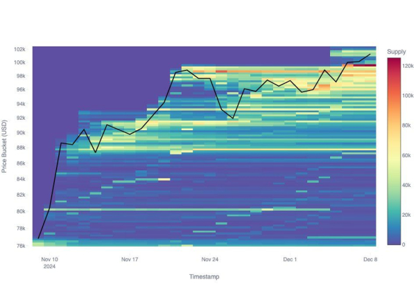 Bitcoin Maintains $96,000 Support Amid $23 Billion Accumulation Wave