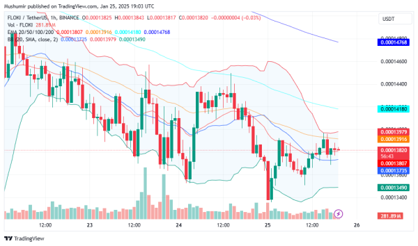 Floki Inu (FLOKI) Price Prediction For January 25