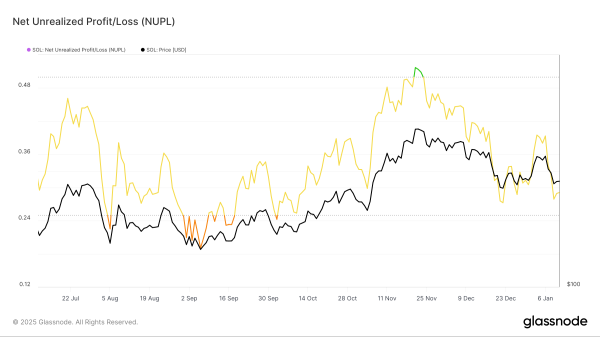Solana (SOL) Price Eyes $200 as It Hits a Historical Rebound Zone