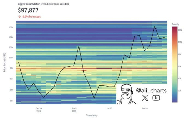 Here's when Bitcoin's bear market will start, according to expert Here's when Bitcoin's bear market will start, according to expert