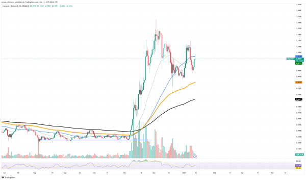 Cardano (ADA) Surpassing All Top-10 Coins as It Back on $1