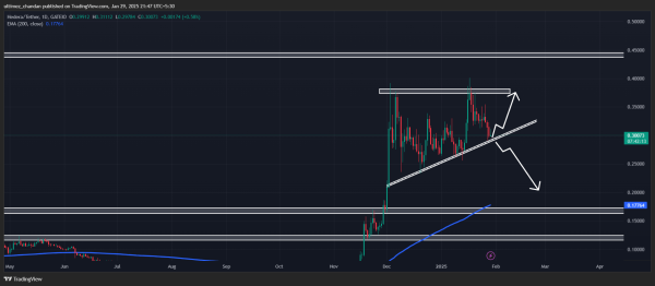 HBAR at Risk, Will It Rally 25% or Drop 35%?