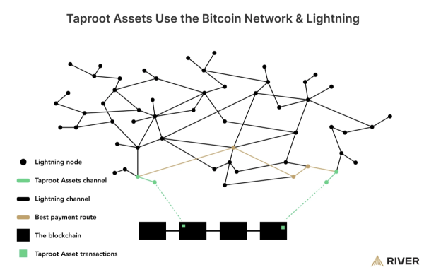 Tether is back on Bitcoin - Lightning Dominance Is Just Starting